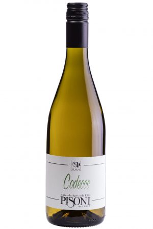 <b>Pisoni</b> <br> Codecce Bianco IGT 2022