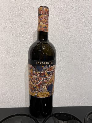 <b>Cantina di Negrar</b><br> Garganega Il Viaggio IGT 2024
