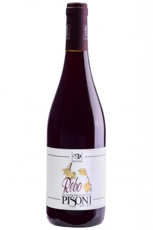 <b>Pisoni</b> <br> Rebo IGT 2020