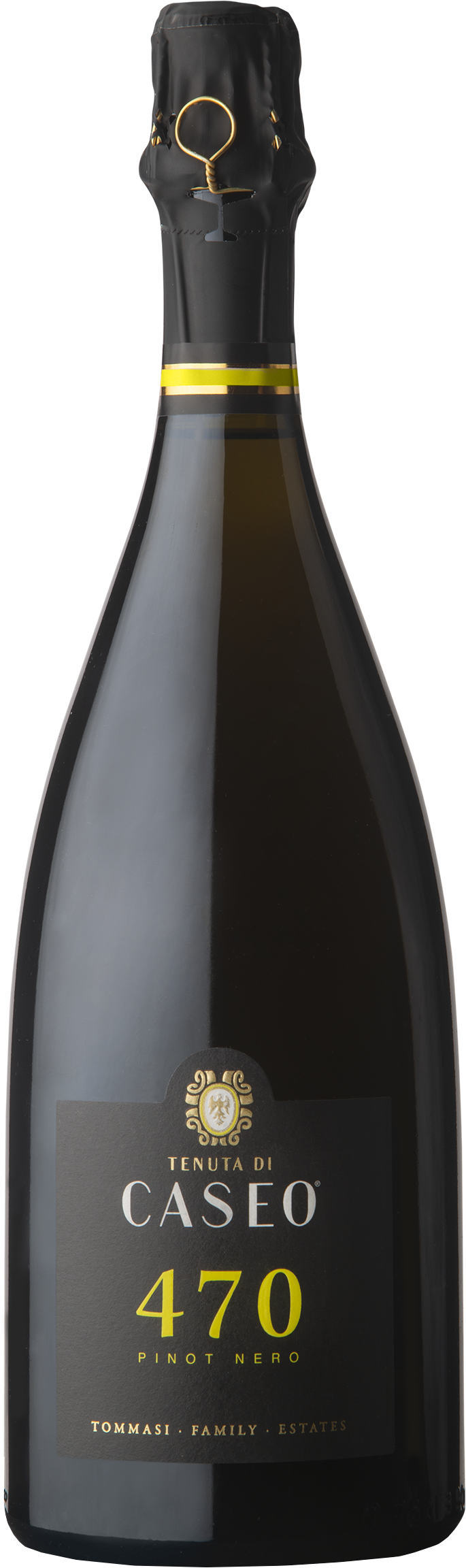 <b>Caseo</b><br>470 Pinot Nero<br>Spumante Classico VSQ