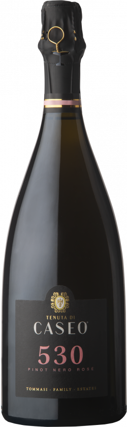 <b>Caseo</b><br>530 Pinot Nero Rosé<br>Spumante Classico VSQ