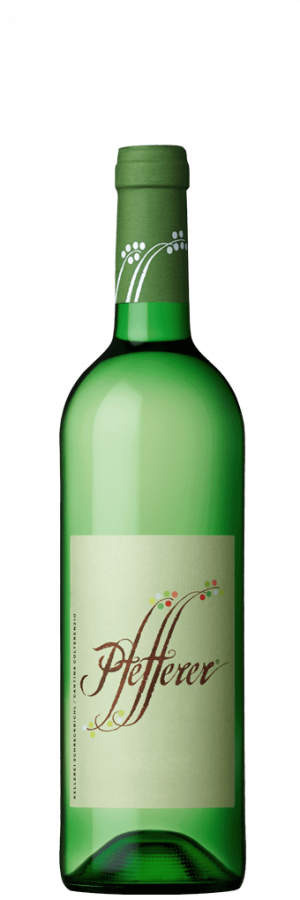 <b>Schreckbichl</b> <br>Goldmuskateller Pfefferer IGT 2024
